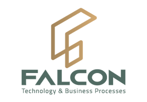 Logo - Falcon x Eye Security